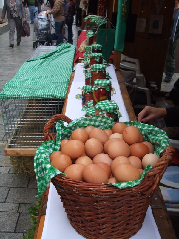 DSCF2530