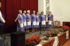 DSCF7937